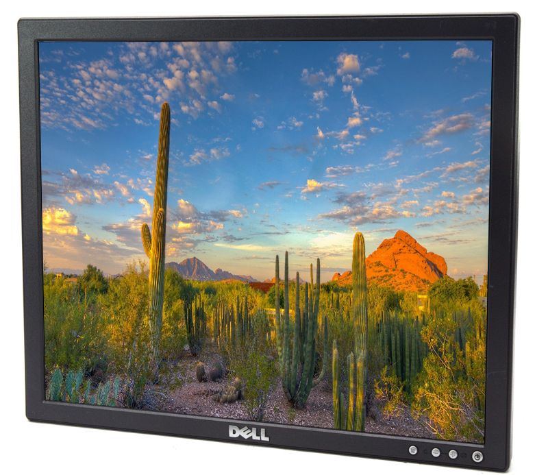 Dell E176FP 17"" LCD Monitor Grade B - No Stand Refurbished - Dell refurbished available on PCLiquidations
