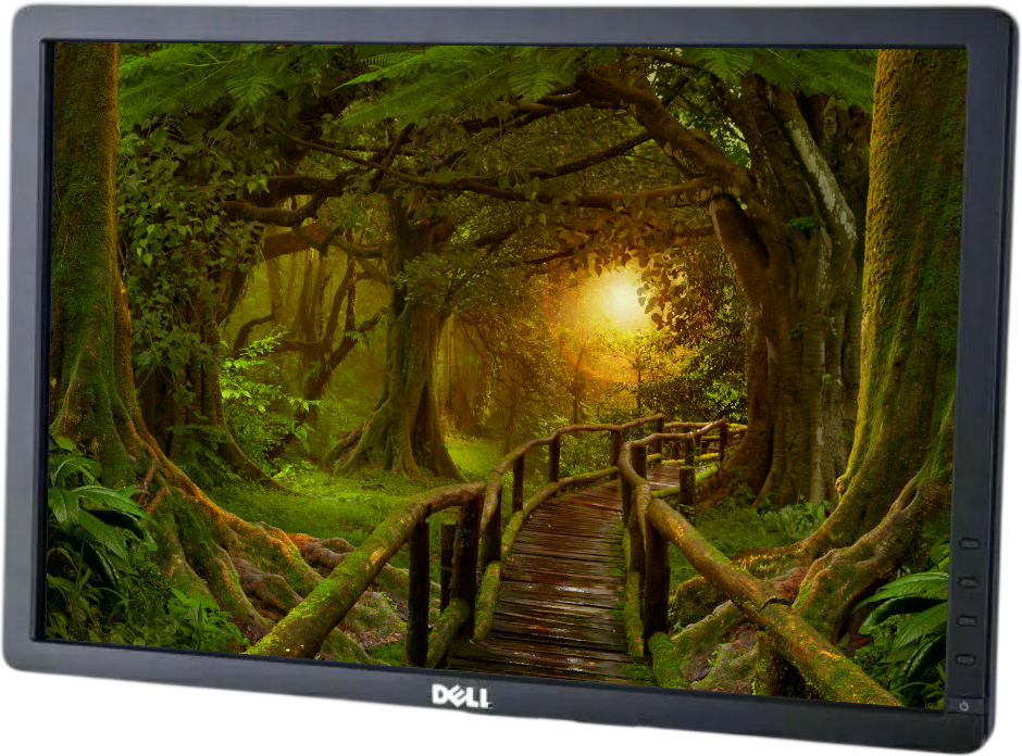 Dell P1913sb 19"" Widescreen LCD Monitor Grade A - No Stand Refurbished - Dell refurbished available on PCLiquidations