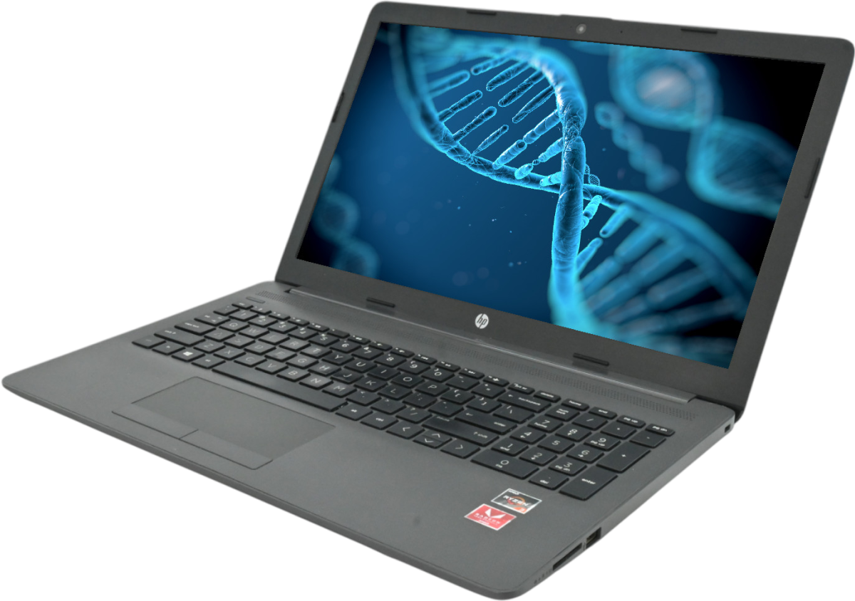 HP 255 G7 15.6"" Notebook PC Laptop AMD Ryzen 3 3200U - No OS - Grade A Refurbished - Hewlett-Packard (ou HP en abrégé) refurbished available on PCLiquidations