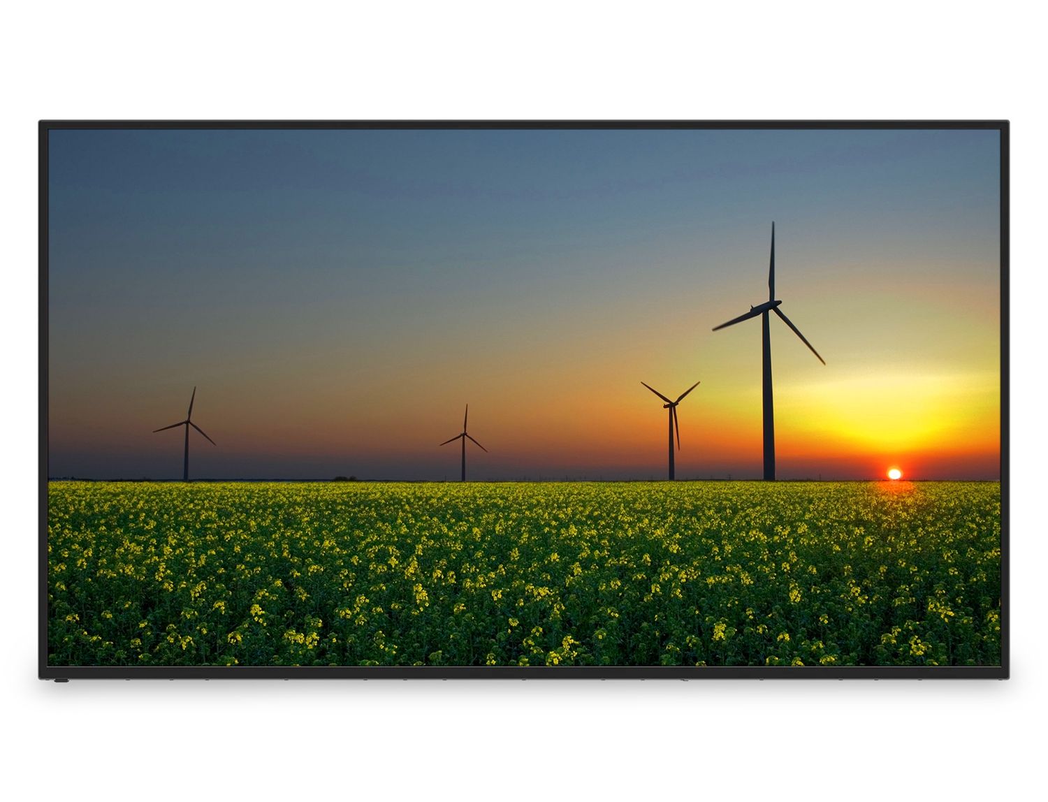 ViewSonic ViewBoard CDE6512 65"" 4K UHD Commercial Display Refurbished - ViewSonic refurbished available on PCLiquidations