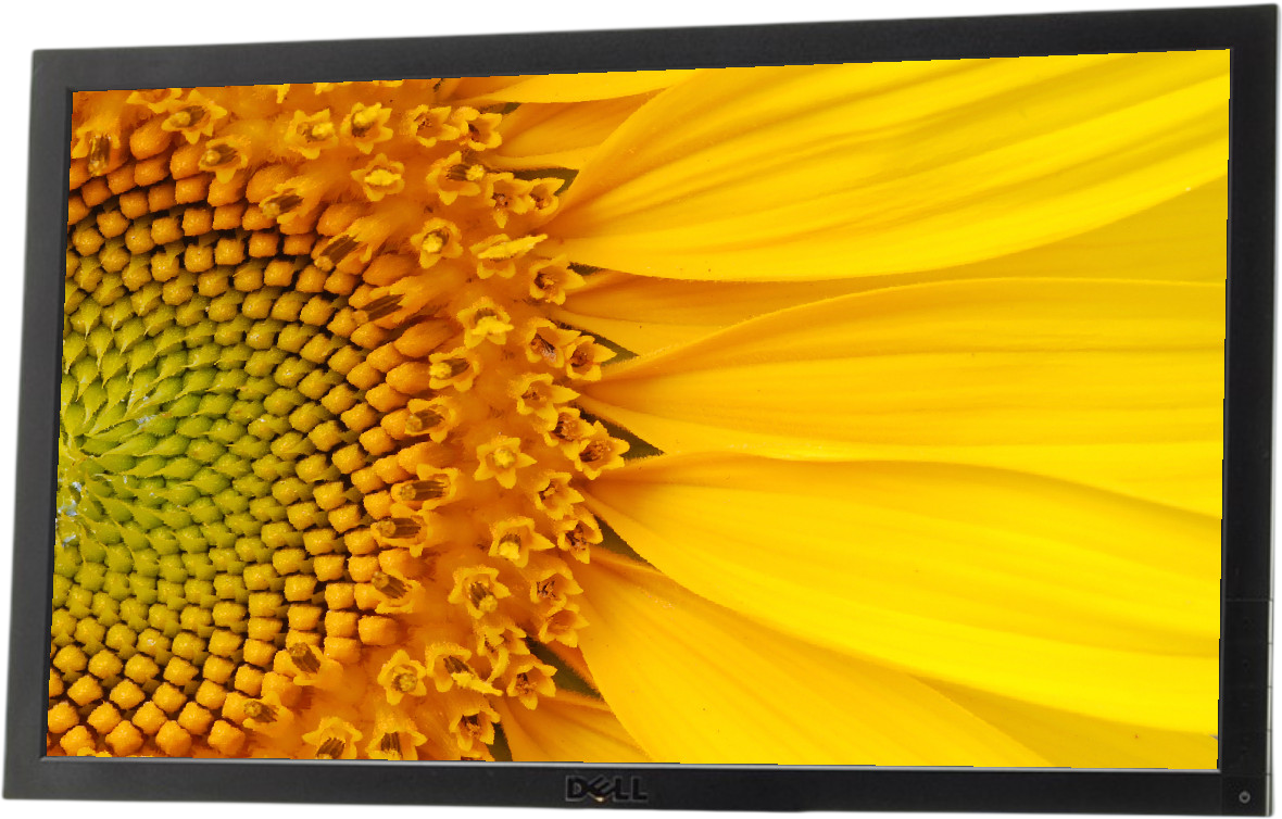 Dell E2011H 20"" Widescreen LED LCD Monitor - No Stand  - Grade A Refurbished - Dell refurbished available on PCLiquidations