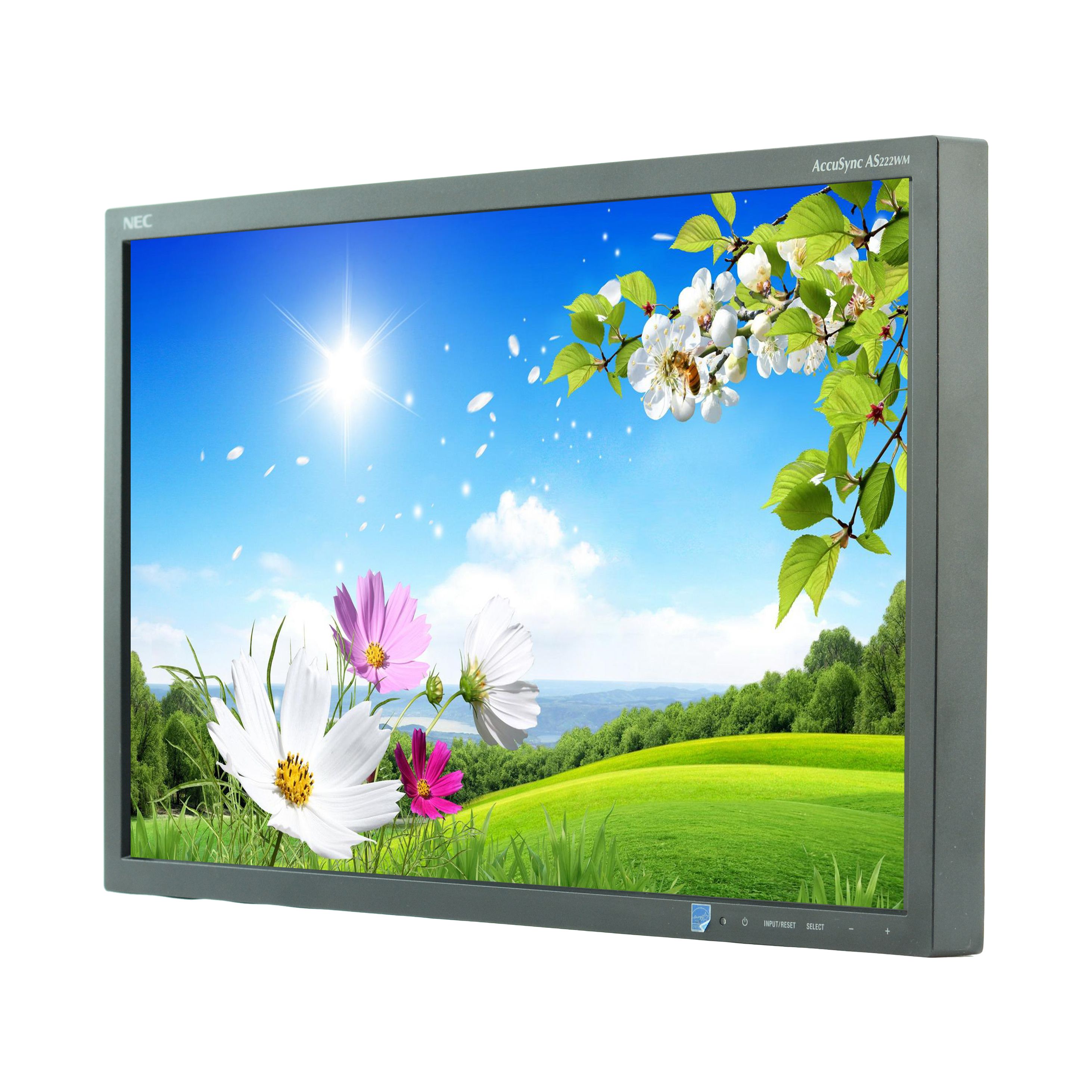 Buy NEC AS222WM 22"" Widescreen LCD Monitor - No Stand - Grade A Refurbished - $59.95 NEC AS222WM 22"" Widescreen LCD Monitor - No Stand - Grade A Refurbished - NEC (Nippon Electric Company) refurbished available on PCLiquidations