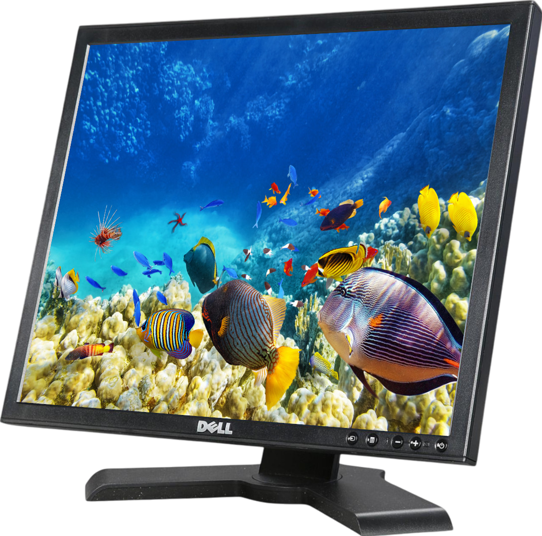 Dell P190Sb 19"" Fullscreen LCD Monitor - Grade C Refurbished - Dell refurbished available on PCLiquidations