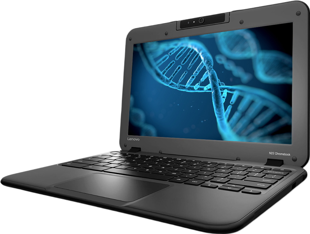 Lenovo N22 Chromebook 11.6"" Laptop N3050 - Grade C Refurbished - Lenovo refurbished available on PCLiquidations