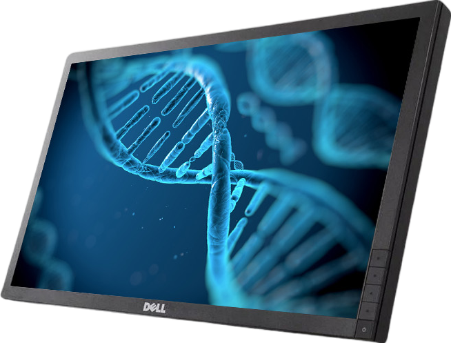 Dell P2412Hb 24"" Widescreen FHD LED LCD Monitor - No Stand - Grade A Refurbished - Dell refurbished available on PCLiquidations