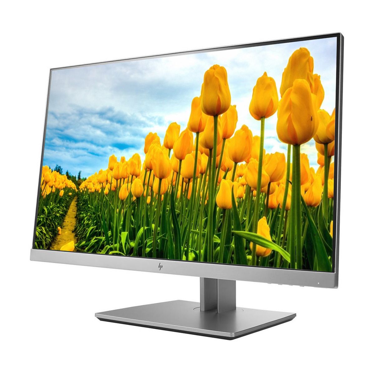 HP EliteDisplay E233 23"" LED LCD Monitor - Grade A Refurbished - Hewlett-Packard (ou HP en abrégé) refurbished available on PCLiquidations