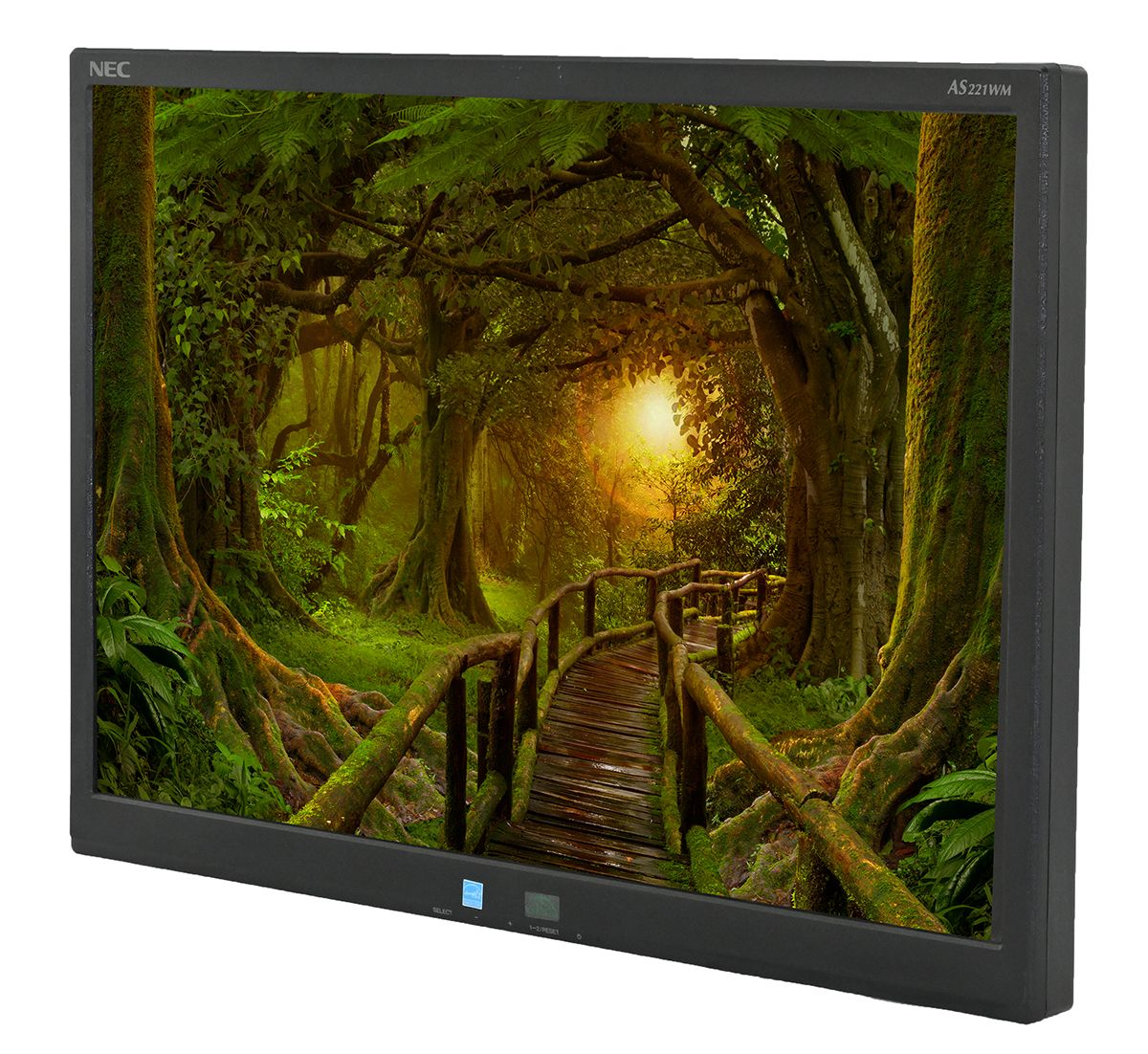 NEC AccuSync AS221WM 22"" Widescreen LCD Monitor - No Stand - Grade C Refurbished - NEC (Nippon Electric Company) refurbished available on PCLiquidations