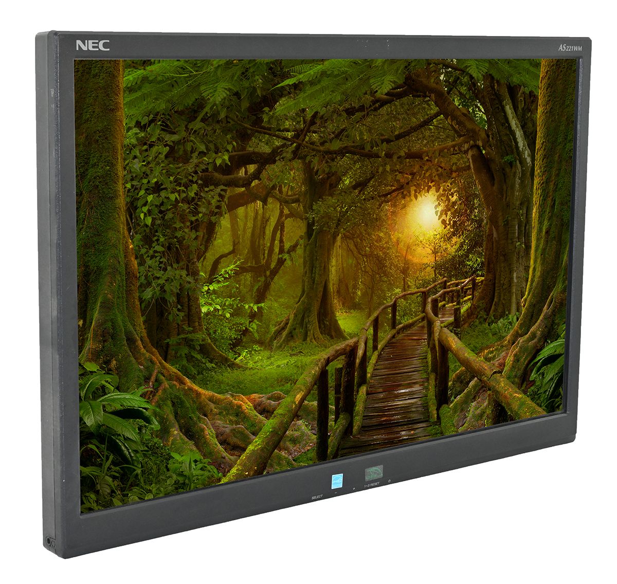 NEC AccuSync AS221WM 22"" Widescreen LCD Monitor - No Stand - Grade B Refurbished - NEC (Nippon Electric Company) refurbished available on PCLiquidations