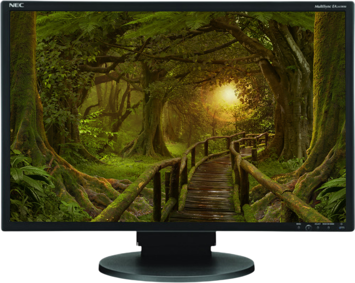 Buy NEC EA241WM 24"" Widescreen LCD Monitor - Grade C Refurbished - $75.95 NEC EA241WM 24"" Widescreen LCD Monitor - Grade C Refurbished - NEC (Nippon Electric Company) refurbished available on PCLiquidations