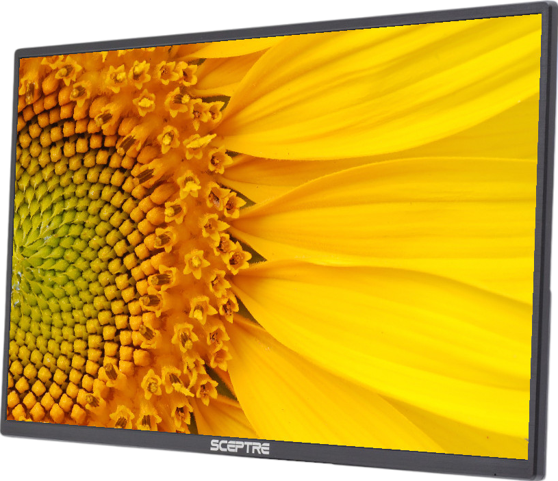 Sceptre E248W-19203R 24"" LED LCD Monitor - No Stand - Grade B Refurbished - Sceptre est une marque connue, mais il est important de not refurbished available on PCLiquidations