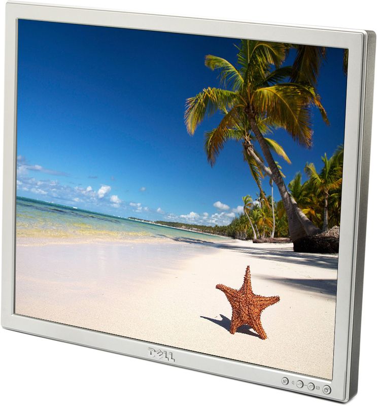 Dell SE197FP 19"" TN LCD Monitor - No Stand - Grade B Refurbished - Dell refurbished available on PCLiquidations