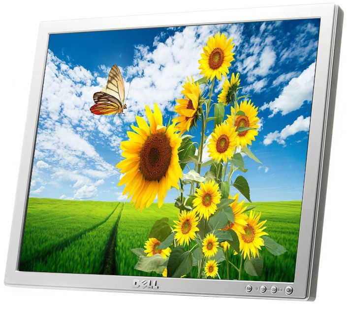 Dell E177FPf 17"" LCD Monitor - No Stand - Grade B Refurbished - Dell refurbished available on PCLiquidations
