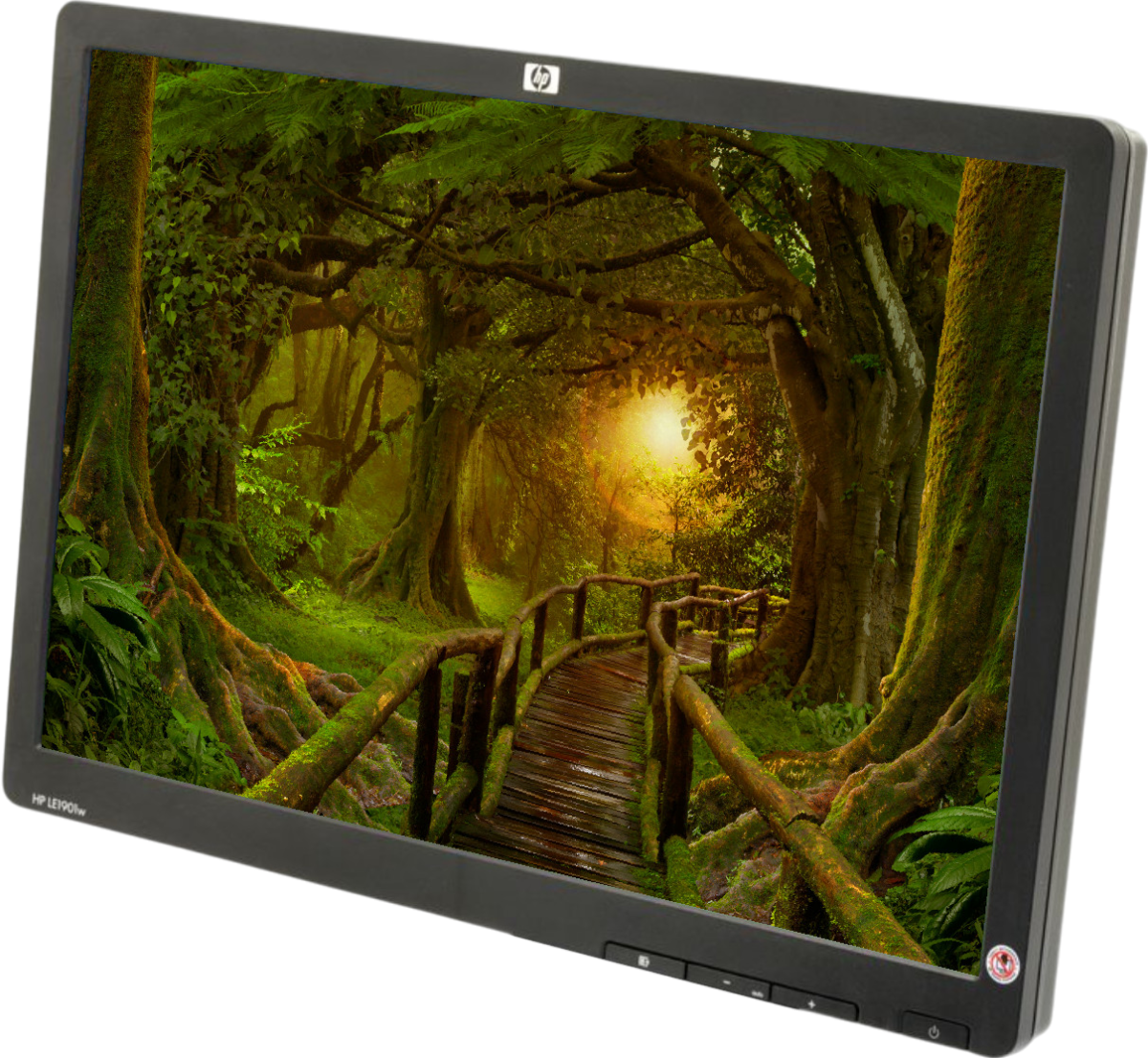 HP LE1901w 19"" Widescreen LCD Monitor - Grade B - No Stand Refurbished - Hewlett-Packard (ou HP en abrégé) refurbished available on PCLiquidations
