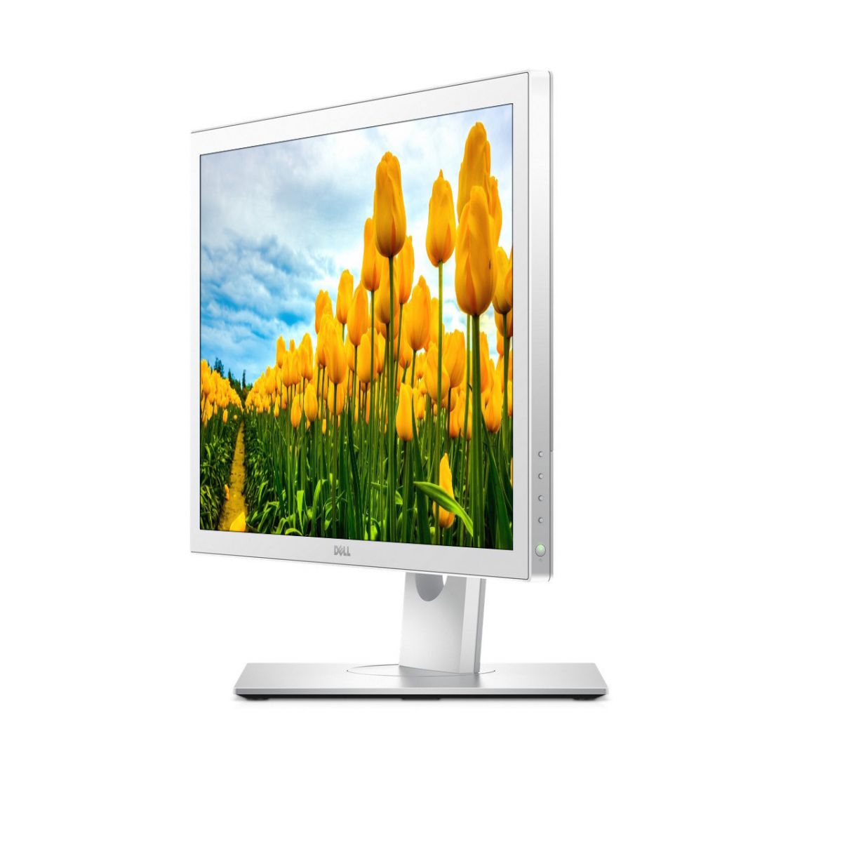 Dell MR2416 24"" LED LCD Medical Review Monitor - New Refurbished - Dell refurbished available on PCLiquidations